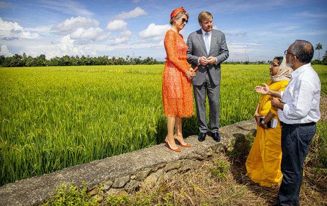 Le roi Willem-Alexander et la reine Maxima des Pays-Bas dans un champ en Inde