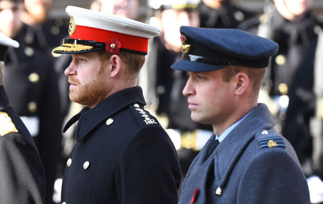 Les ducs de Cambridge et Sussex en uniforme