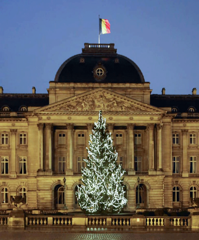 Le sapin de Noël devant le palais royal de Bruxelles