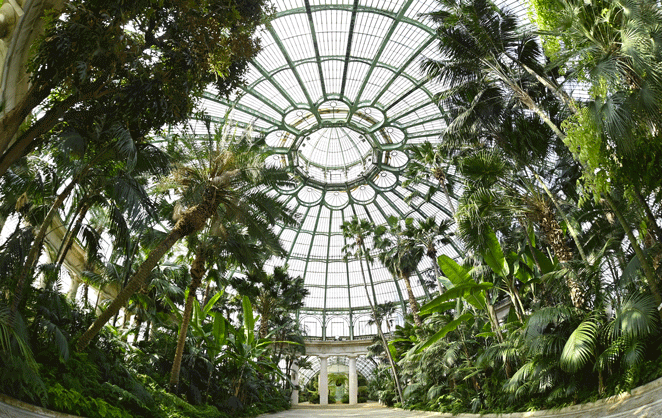 L'intérieur tropical des serres royales de Laeken