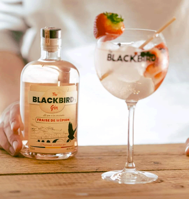 Le gin Blackbird aux fraises de Wépion et un verre de gin-tonic