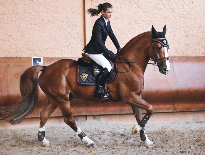Charlotte Casiraghi à cheval lors d'un jumping