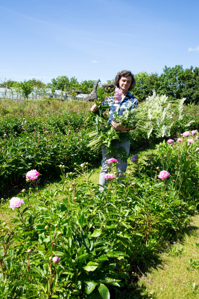 Les nombreux hectares ont permis au fleuriste de planter des centaines de pieds de pivoines. © Eric Jansen