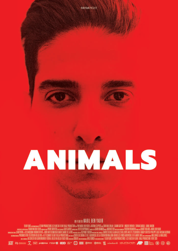 L'affiche film Animals du réalisateur belge Nabil Ben Yadir
