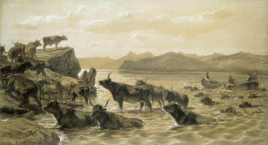 Bœufs traversant un lac devant Ballachulish (Ecosse) ou Troupeau traversant une rivière, 1867 - 1873, fusain, crayon de couleur, papier, crayon sépia © DR